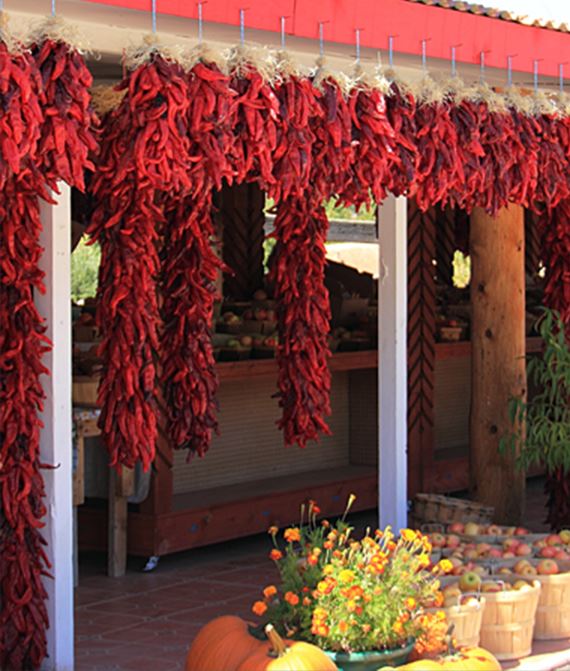 A bunch of dried red chilies strung up in front of a store