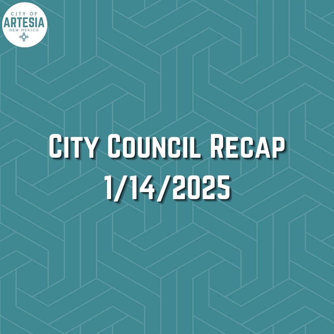 City Council Recap 1142025